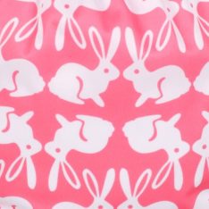 Lapin
