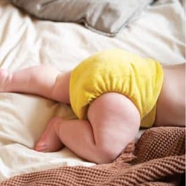 Couche lavable classique de nuit_catkin bamboozle_2